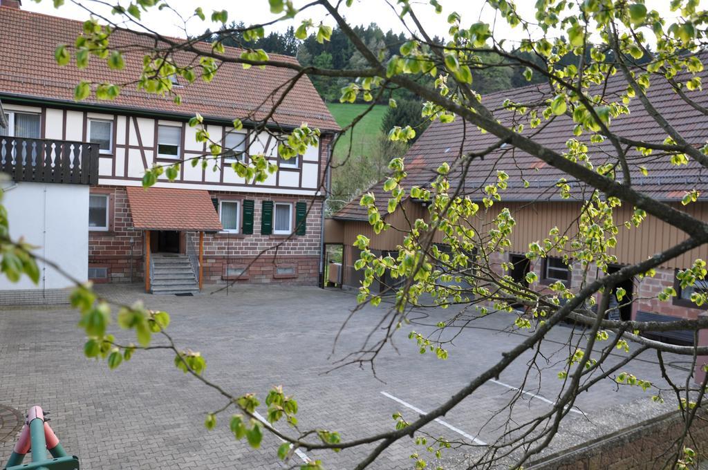 Ferienwohnungen Zur Muehle Mossautal Экстерьер фото